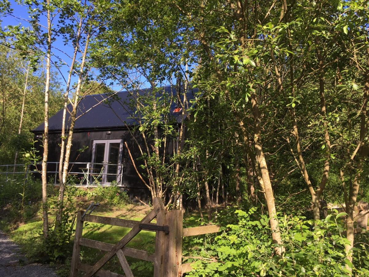 Alder Cabin Kilkenny Bagian luar foto