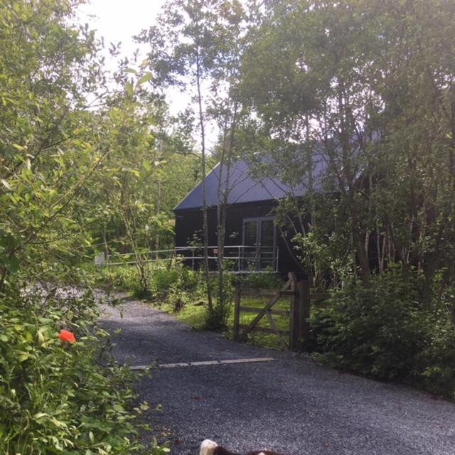 Alder Cabin Kilkenny Bagian luar foto