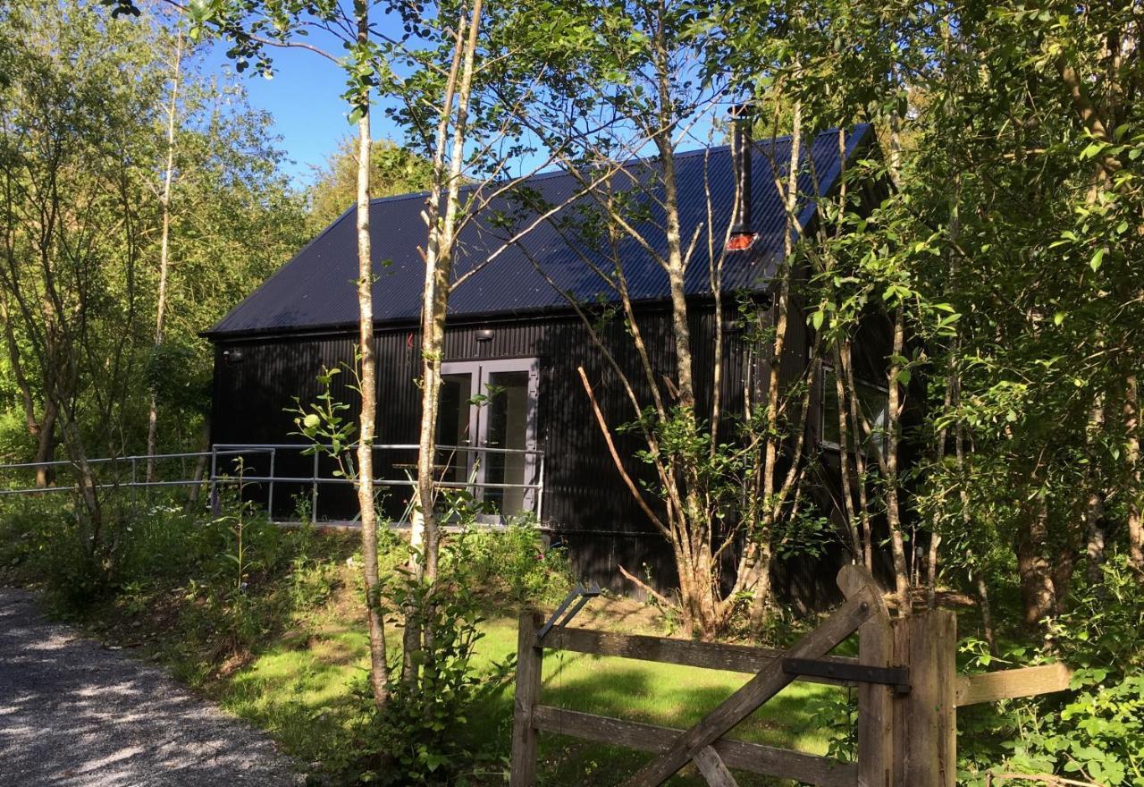 Alder Cabin Kilkenny Bagian luar foto